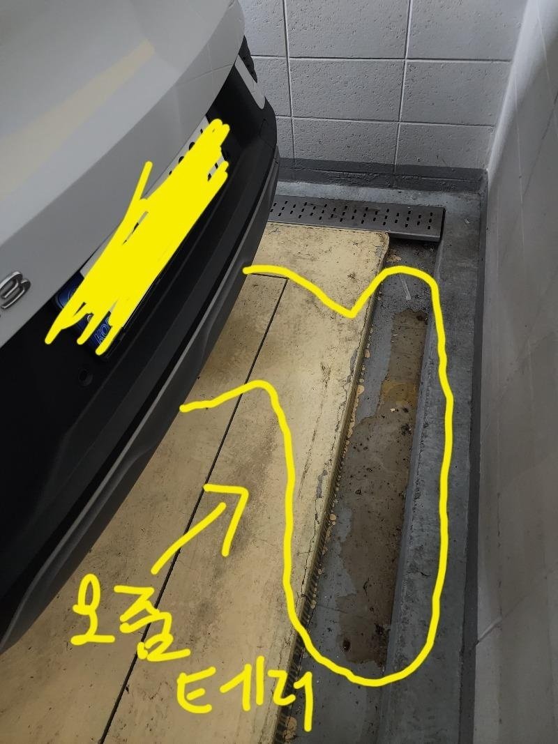 본문 이미지 - (보배드림 갈무리)