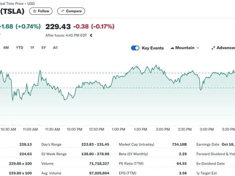 스페이스X 우주 유영 성공, 테슬라 0.74% 상승