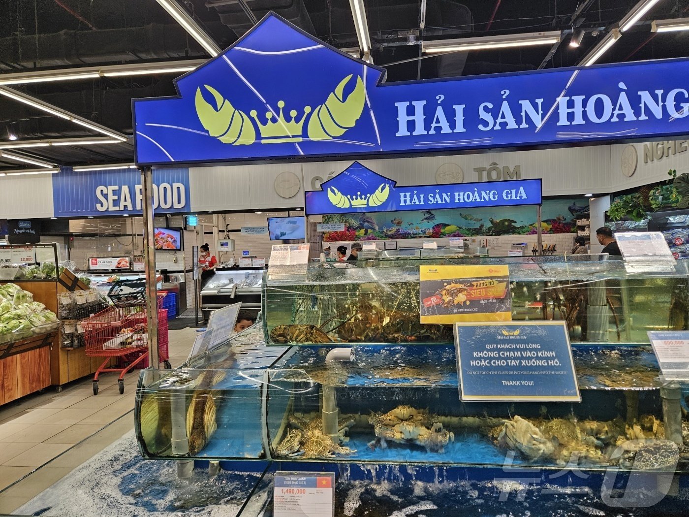 본문 이미지 - 베트남 호찌민 소재 롯데마트 남사이공점.ⓒ 뉴스1/김진희 기자.