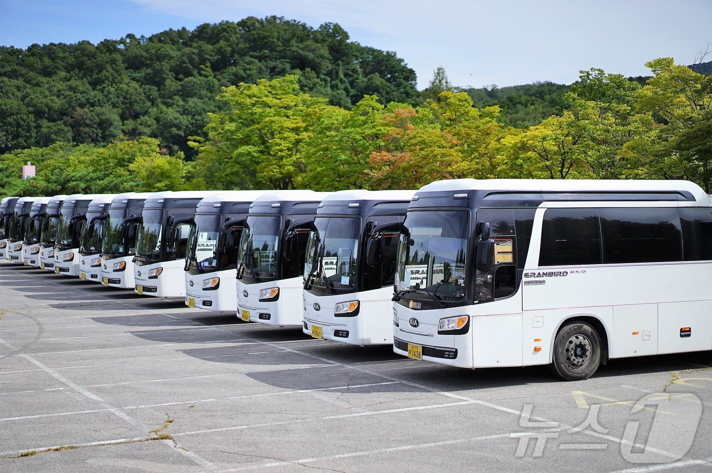 본문 이미지 - 위즈돔의 모빌리티 솔루션을 이용하는 전세버스(위즈돔 제공)