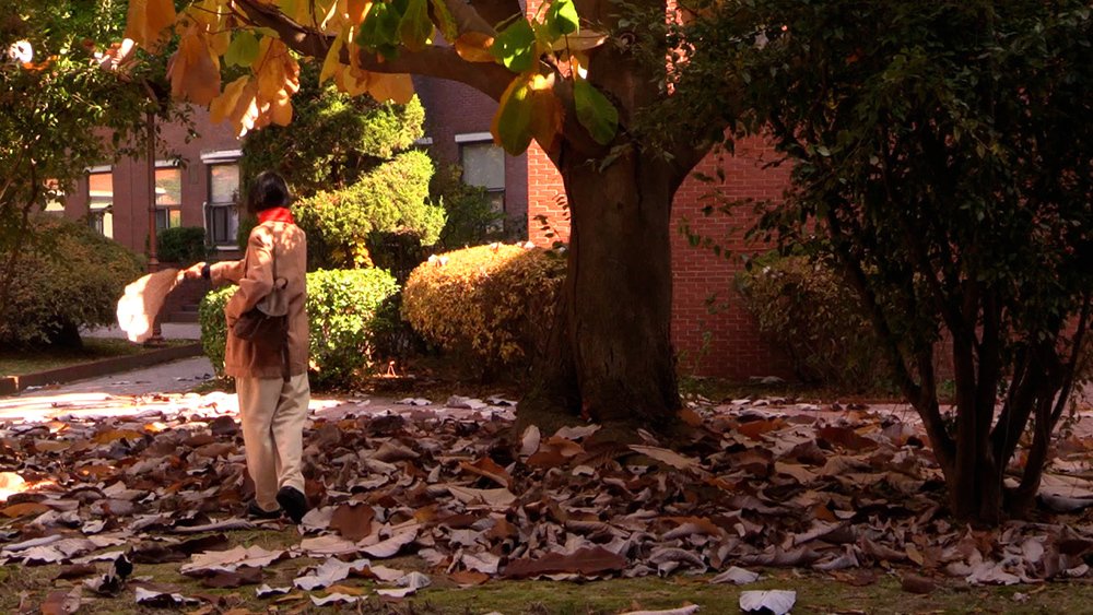 본문 이미지 - 수유천 스틸