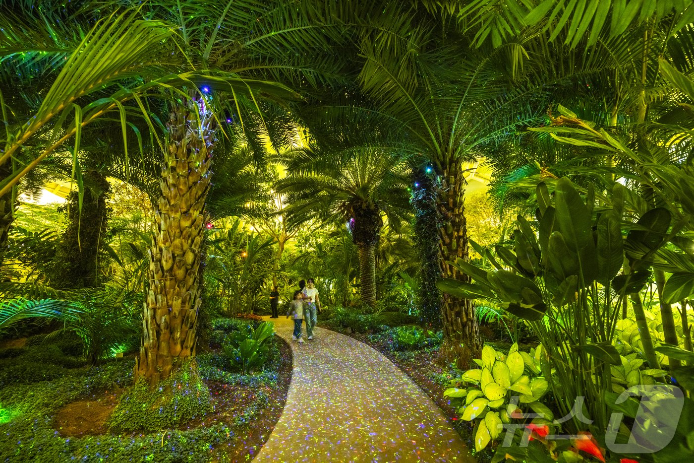 본문 이미지 - 부천호수식물원 '수피아'(최준근 자유 사진가 제공) / 뉴스1