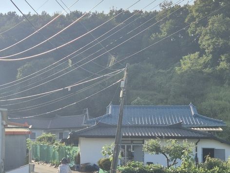 "자식에 손 안벌려 좋아" 월 15만원 농촌기본소득 '연천의 실험'