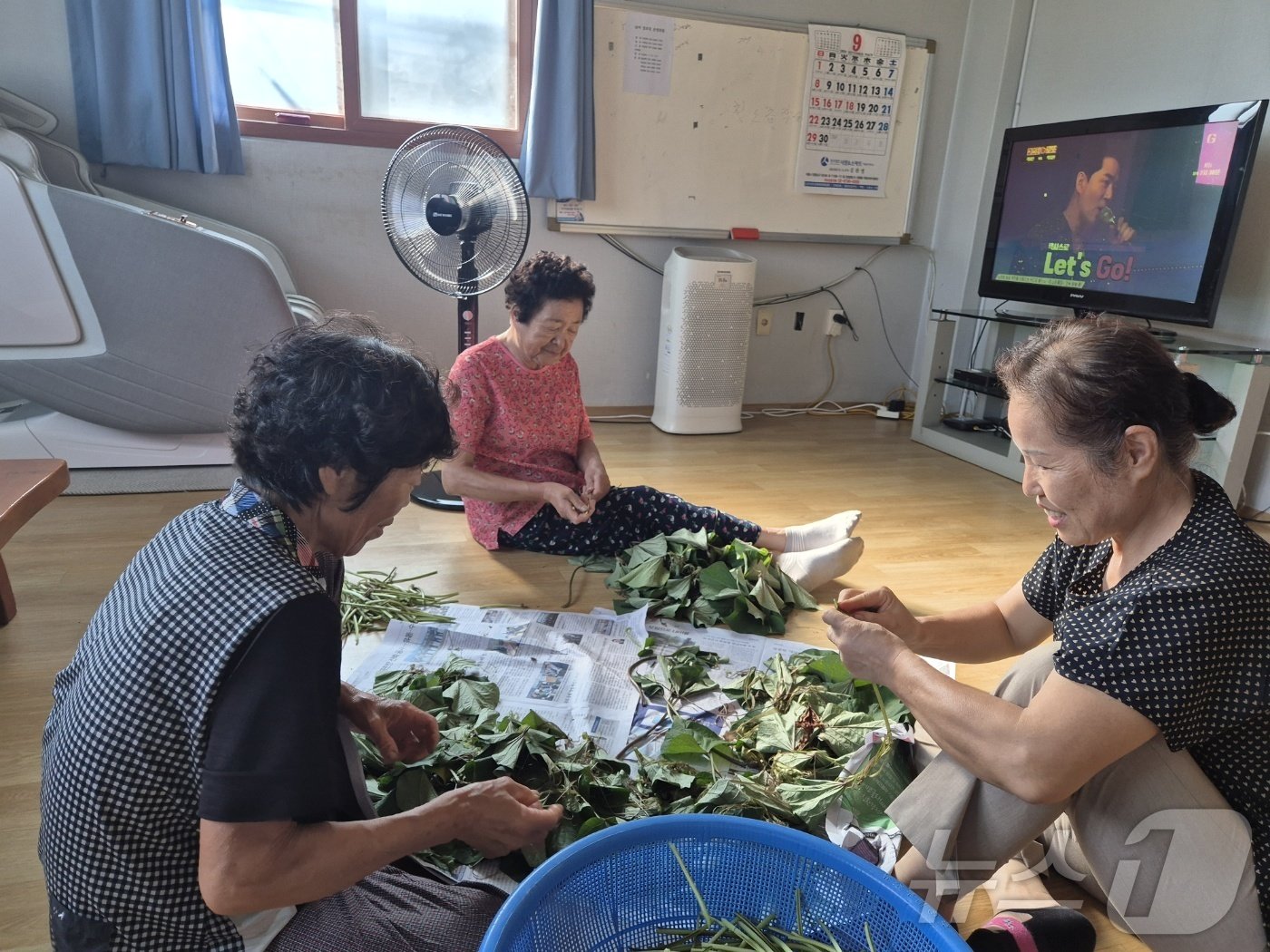 본문 이미지 -  농촌기본소득 시범사업지인 경기 연천군 청산면 궁평1리 경로당에서 주민 3명이 고구마줄기를 다듬고 있다./뉴스1 양희문 기자