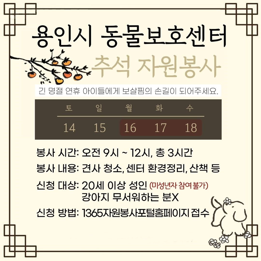 용인시동물보호센터 추석 연휴 자원봉사 모집 공고 ⓒ 뉴스1