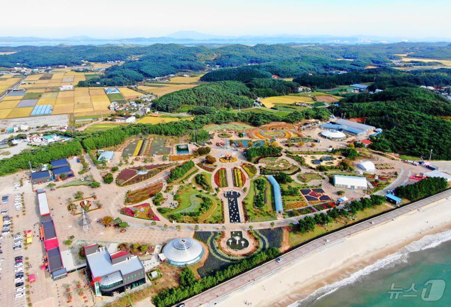 본문 이미지 - 태안 가을꽃박람회/뉴스1