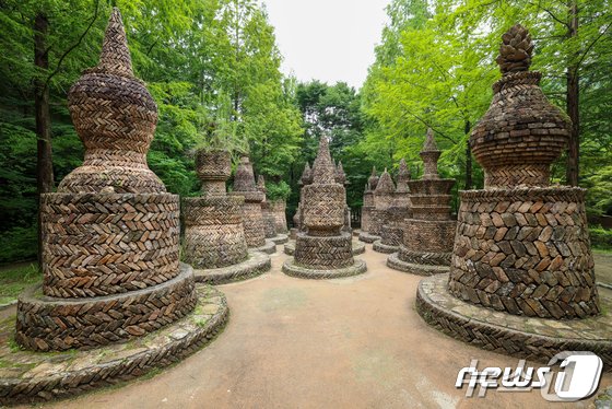 본문 이미지 - 대전 동구 상소동 산림욕장/뉴스1