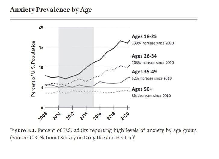 미국에서 높은 수준의 불안을 보고한 연령 집단별 성인 비율. 18~25세가 가장 높은 불안도를 보였다. &#40;출처 : 미국 전국약물사용건강조사·불안세대 자료집&#41; 2024.09.14/