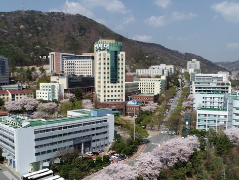 인제대 수시모집 경쟁률 4.89대 1…신설 방사선학과 18.79대 1