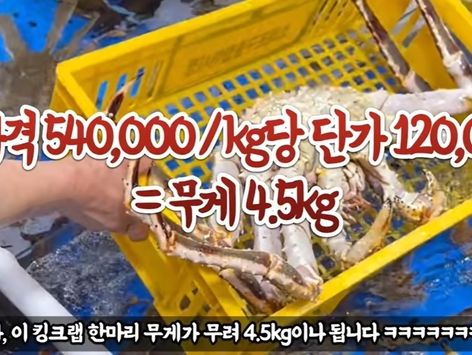 "킹크랩 1마리 54만원"…큰절 사과한 소래포구 바가지 여전