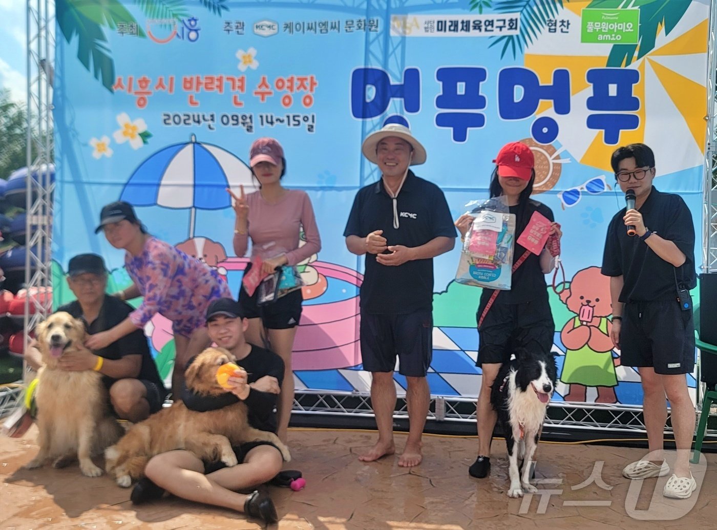 본문 이미지 - 반려견 수영장 '멍푸멍푸' 프로그램(KCMC문화원 제공) ⓒ 뉴스1