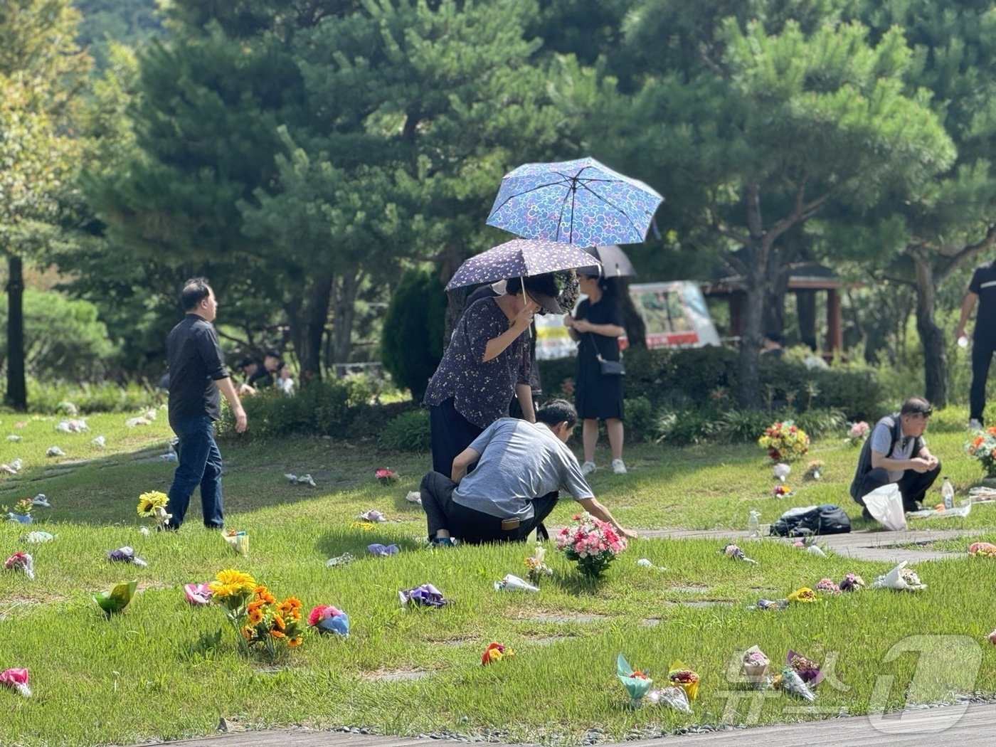 본문 이미지 - 추석인 17일 오전 인천시 부평구 인천가족공원에 성묘객들이 성묘를 하고 있다.2024.9.17 ⓒ News1 박소영 기자