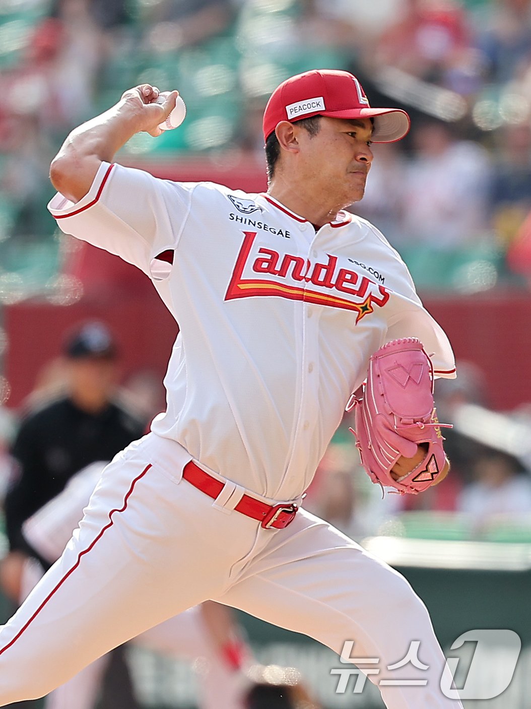 본문 이미지 - 민족 대명절 추석인 17일 오후 인천시 미추홀구 문학동 SSG랜더스필드에서 열린 프로야구 '2024 신한 SOL 뱅크 KBO리그' KIA 타이거즈와 SSG 랜더스의 경기, SSG 노경은이 6회초 등판해 힘차게 공을 던지고 있다. 2024.9.17/뉴스1 ⓒ News1 김진환 기자