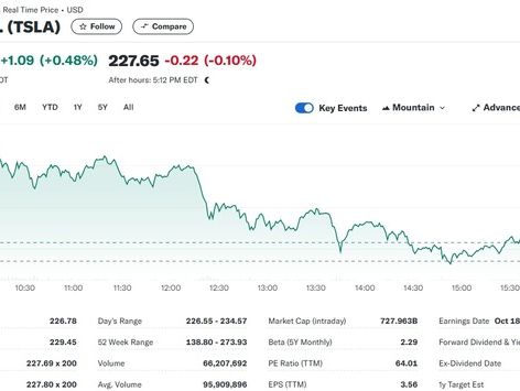 미증시 혼조에도 테슬라 0.48% 상승 마감