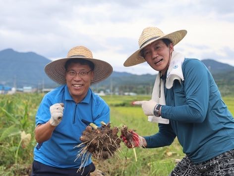 '매머드' 민주당 vs '몽골기병' 조국당…영광 재선거 '초접전'