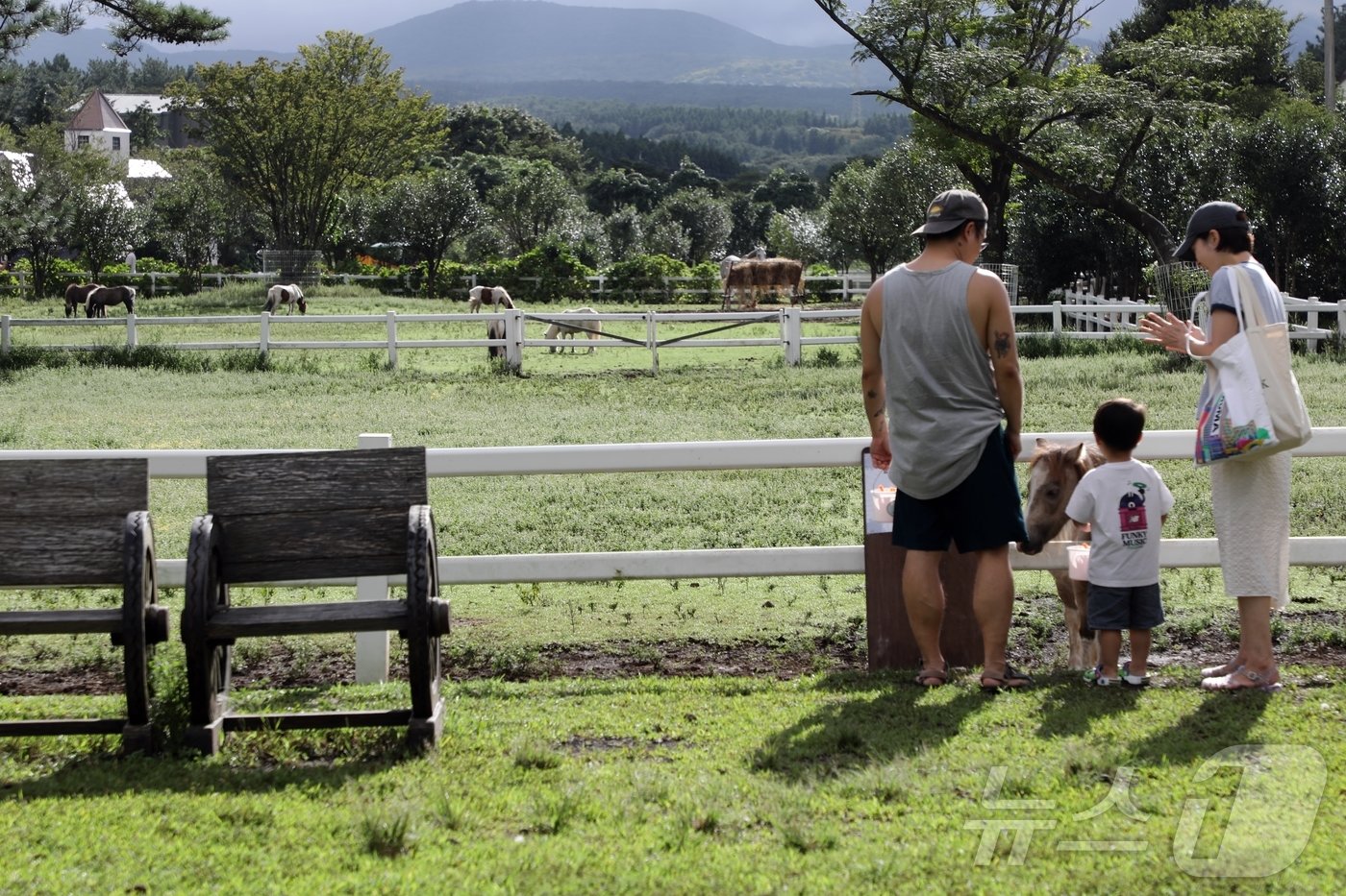 본문 이미지 - 추석 연휴 마지막 날인 18일 제주 제주시 조천읍 교래리 길갈팜랜드에서 아이들과 가족들이 말에게 먹이 주고 있다. 이날 제주는 산지를 제외한 전역에 폭염주의보가 발효 중이다.2024.9.18/뉴스1 ⓒ News1 홍수영 기자