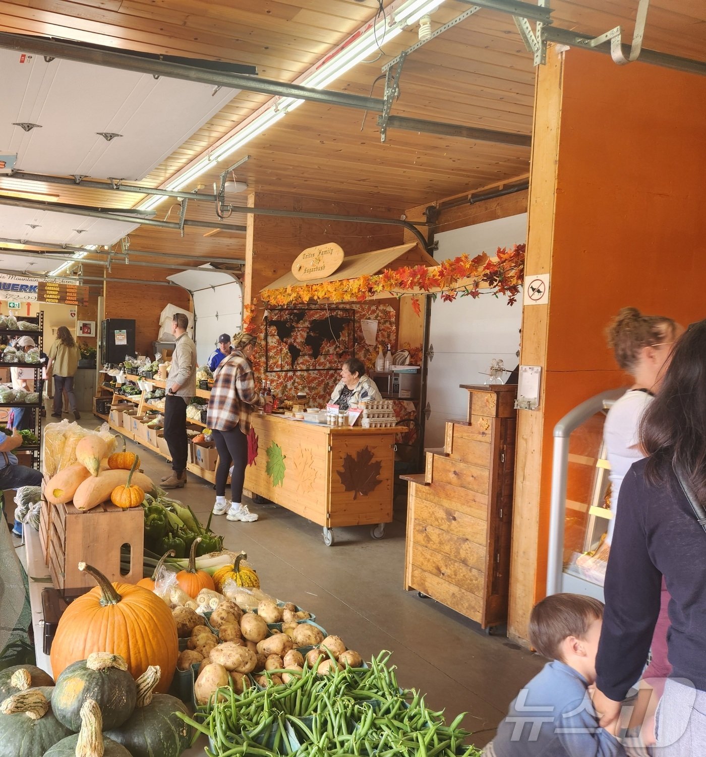 본문 이미지 - 매주 토요일마다 열리는 뉴브런즈 윅주 몽튼 지역의 지역의 &#39;Marche Moncton market&#39; 내부. 2024.09.14/ⓒ 뉴스1 김남희 통신원