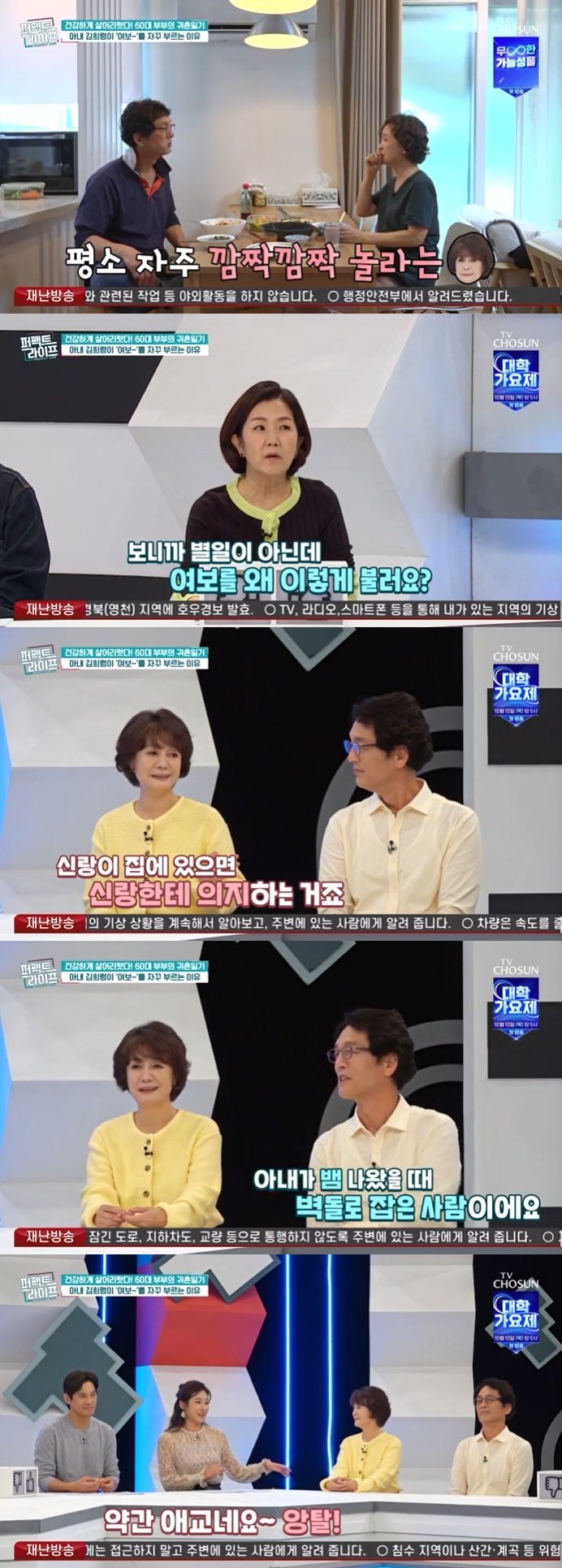 본문 이미지 - TV조선 '퍼펙트 라이프' 캡처