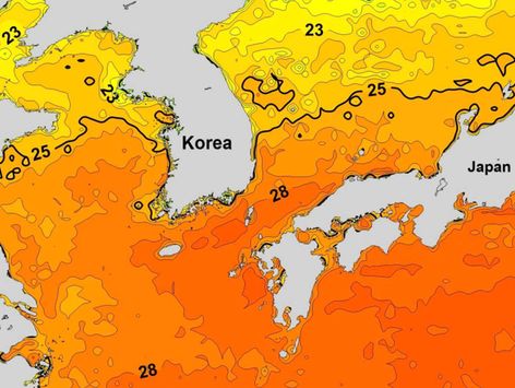 추석 지났지만 동해안 고수온 피해 계속…포항 앞바다 28.68도