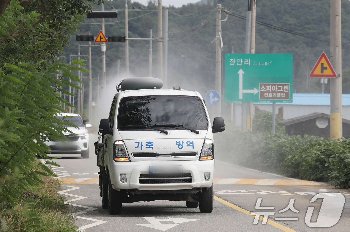 (여주=뉴스1) 김영운 기자 = 19일 경기 여주시 한 한우농장에서 럼피스킨이 발생돼 방역 관계자들이 농장 일대를 방역하고 있다. 2024.9.19/뉴스1