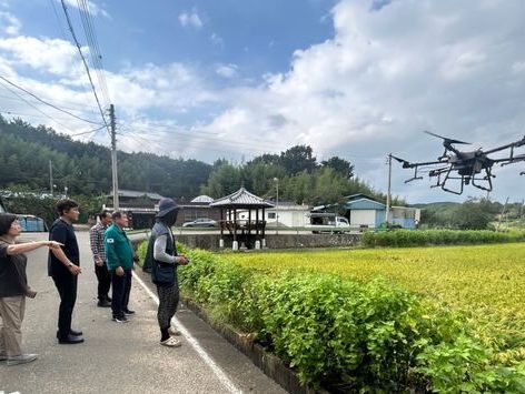 '벼멸구 비상'…산청군, 벼 수확기 긴급 방제 실시