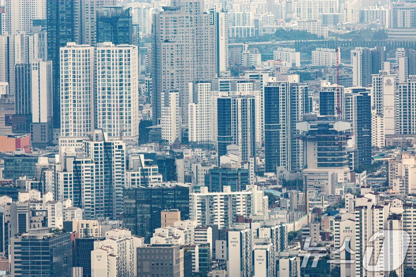 본문 이미지 - 뉴스1 ⓒ News1 이재명 기자