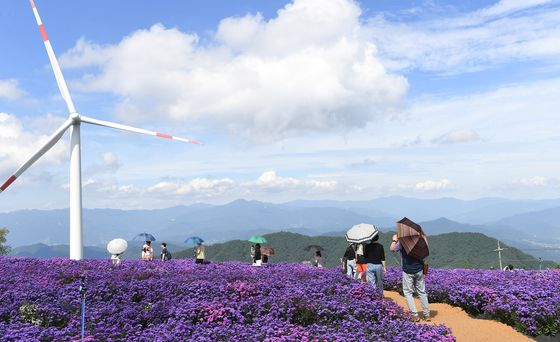 거창군, 올해 전담여행사 4곳 지정…관광 유치 활성화