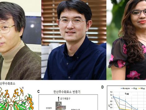 이산화탄소 바다에 녹여 지구 온도 낮추는 기술 개발