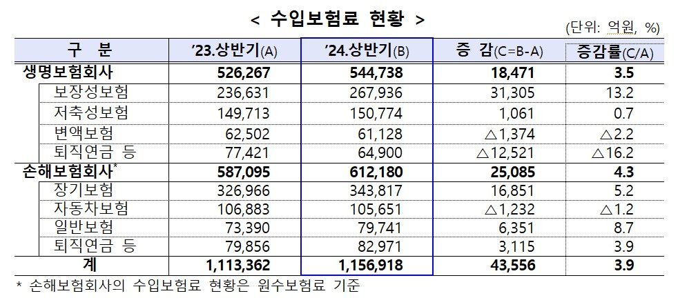 2024년 상반기 보험회사 경영실적/사진제공=금융감독원