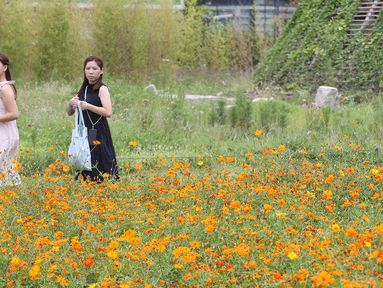 [오늘의 날씨]울산(8일, 일)…무덥고 한때 소나기