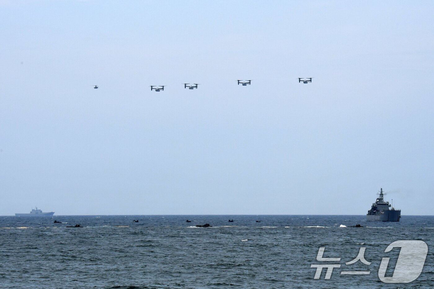 본문 이미지 - 한·미 해군과 해병대의 대규모 연합상륙훈련인 ‘2024 쌍룡훈련’이 2일 경북 포항시 북구 송라면 해안에서 실시된 가운데 해병대 1사단 KAAV(한국형상륙돌격장갑차)부대와 미 해병대 오스프리(MV-22)가 해안으로 돌격하고 있다. 2024.9.2/뉴스1 ⓒ News1 최창호 기자