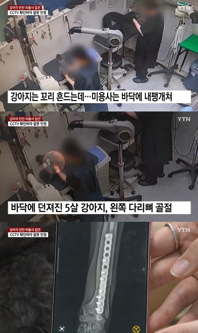 본문 이미지 - (YTN 뉴스 갈무리)