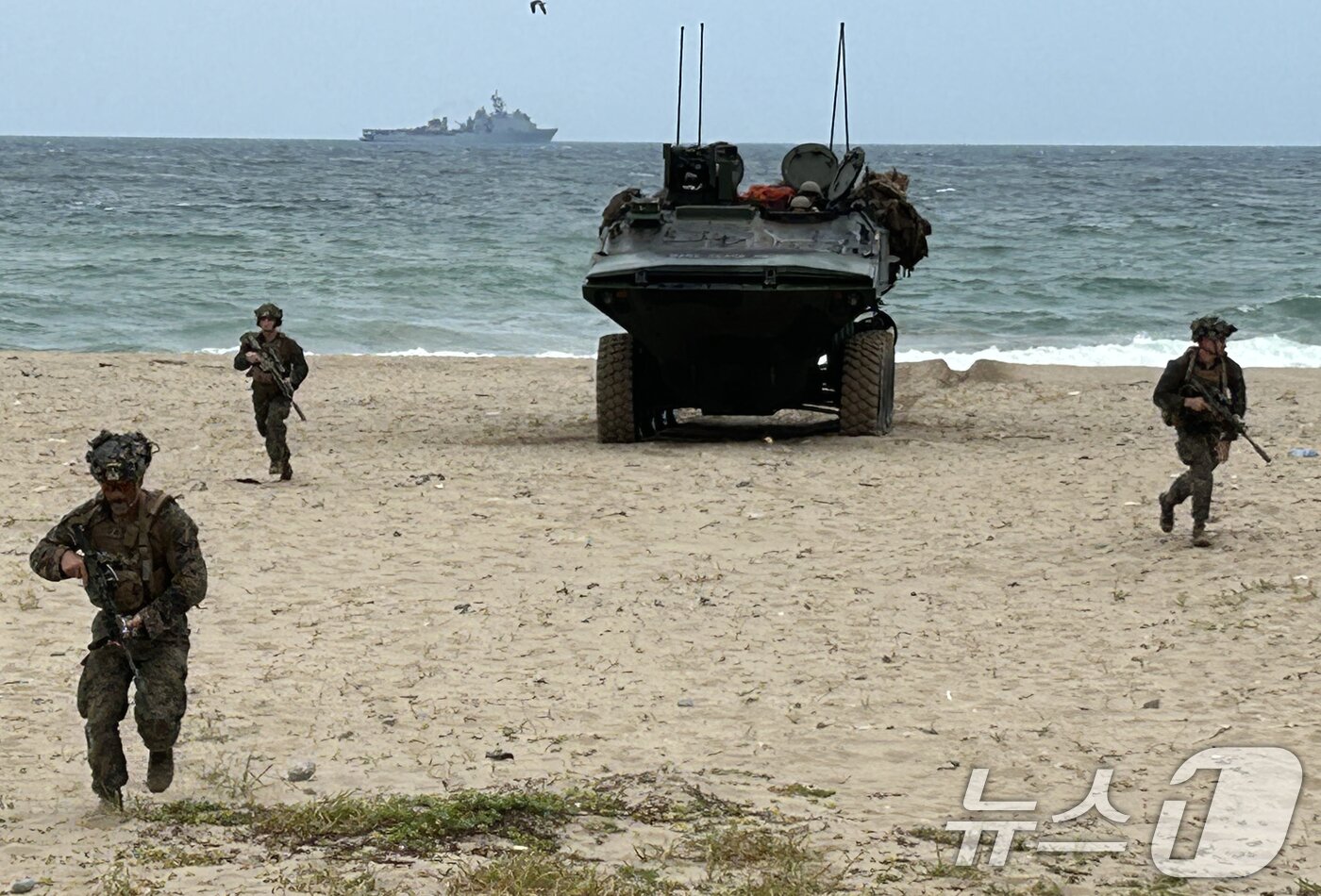 본문 이미지 - 한·미 해군과 해병대의 대규모 연합상륙훈련인 ‘2024 쌍룡훈련’이 2일 경북 포항시 북구 화진리와 조사리 해안에서 실시된 가운데 미 해병대원들이 ACV(신형상륙전투차량)로 해안에 상륙한 후 돌격하고 있다. 2024.9.2/뉴스1 ⓒ News1 최창호 기자