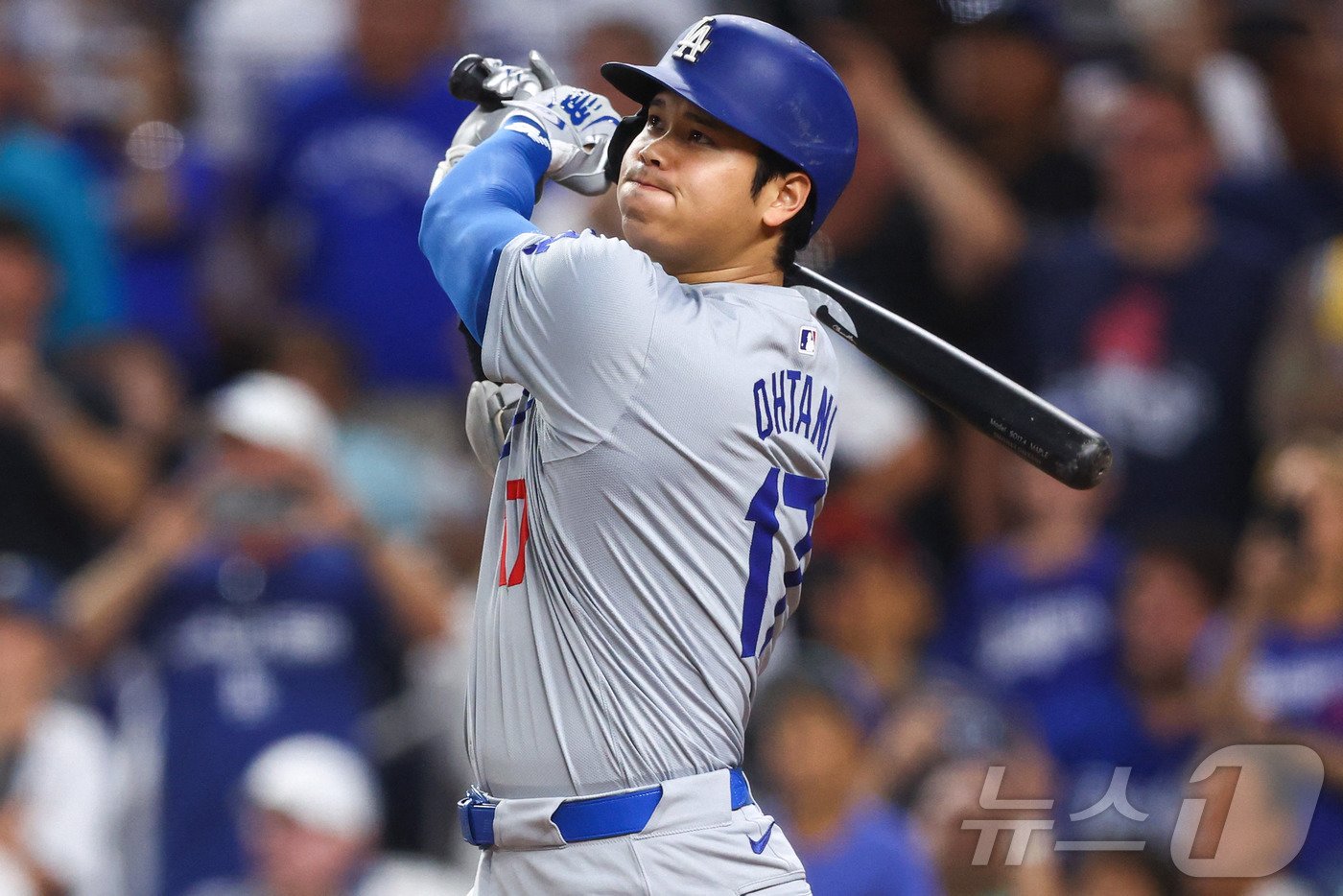 본문 이미지 - 오타니 쇼헤이. ⓒ AFP=뉴스1