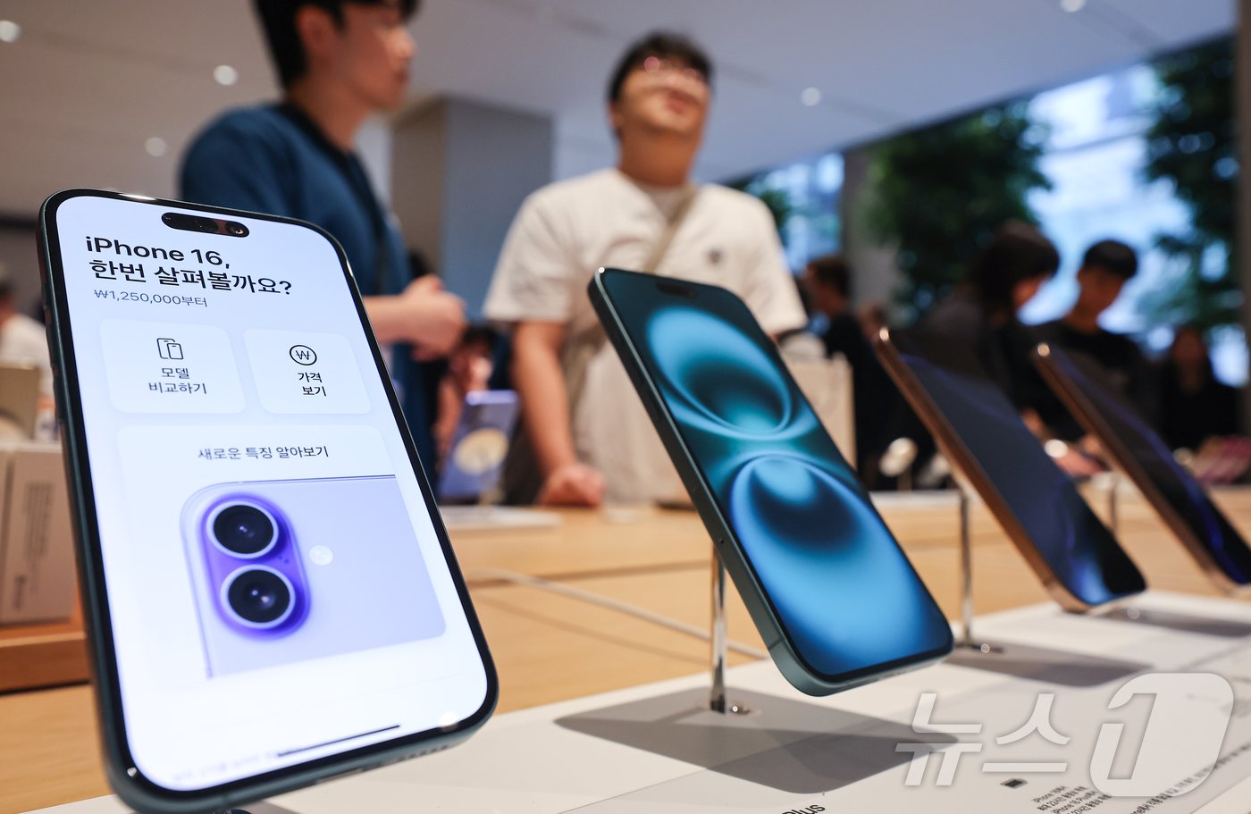 본문 이미지 - 20일 오전 서울 중구 명동 애플스토어에서 시민들이 이날 출시된 애플의 스마트폰 &#39;아이폰 16시리즈&#39;를 살펴보고 있다. 2024.9.20/뉴스1 ⓒ News1 김도우 기자