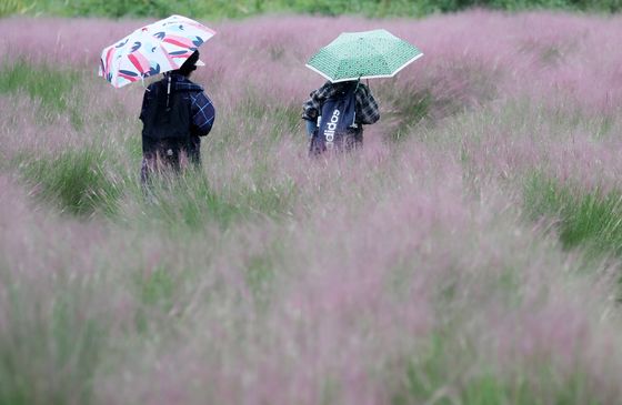 부산 호우주의보 발효…19일까지 80㎜ 이상 비 예보