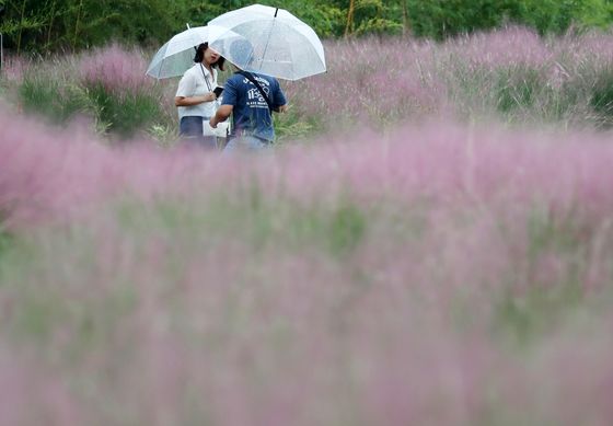 [오늘의 날씨] 광주·전남(1일, 화)…5~10㎜ 가을비, 한때 강풍