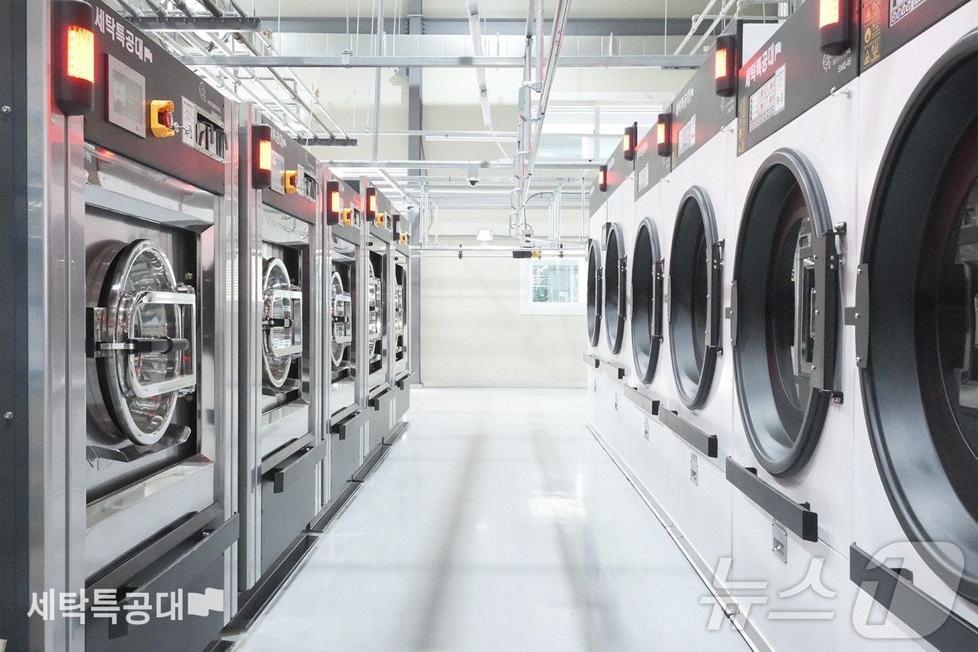 본문 이미지 - 세탁특공대 세탁 공정&#40;워시스왓 제공&#41;