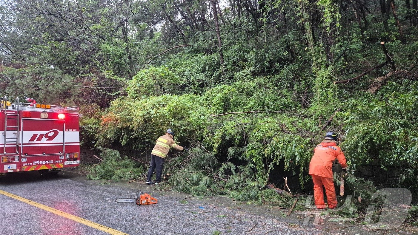 본문 이미지 - 집중호우가 이어지고 있는 21일 오전 7시께 전북 남원시 사매면의 한 도로에 호우로 인해 나무가 쓰러져 소방 관계자들이 현장을 정리하고 있다. (전북소방 제공)2024.9.21/뉴스1 ⓒ News1 강교현 기자