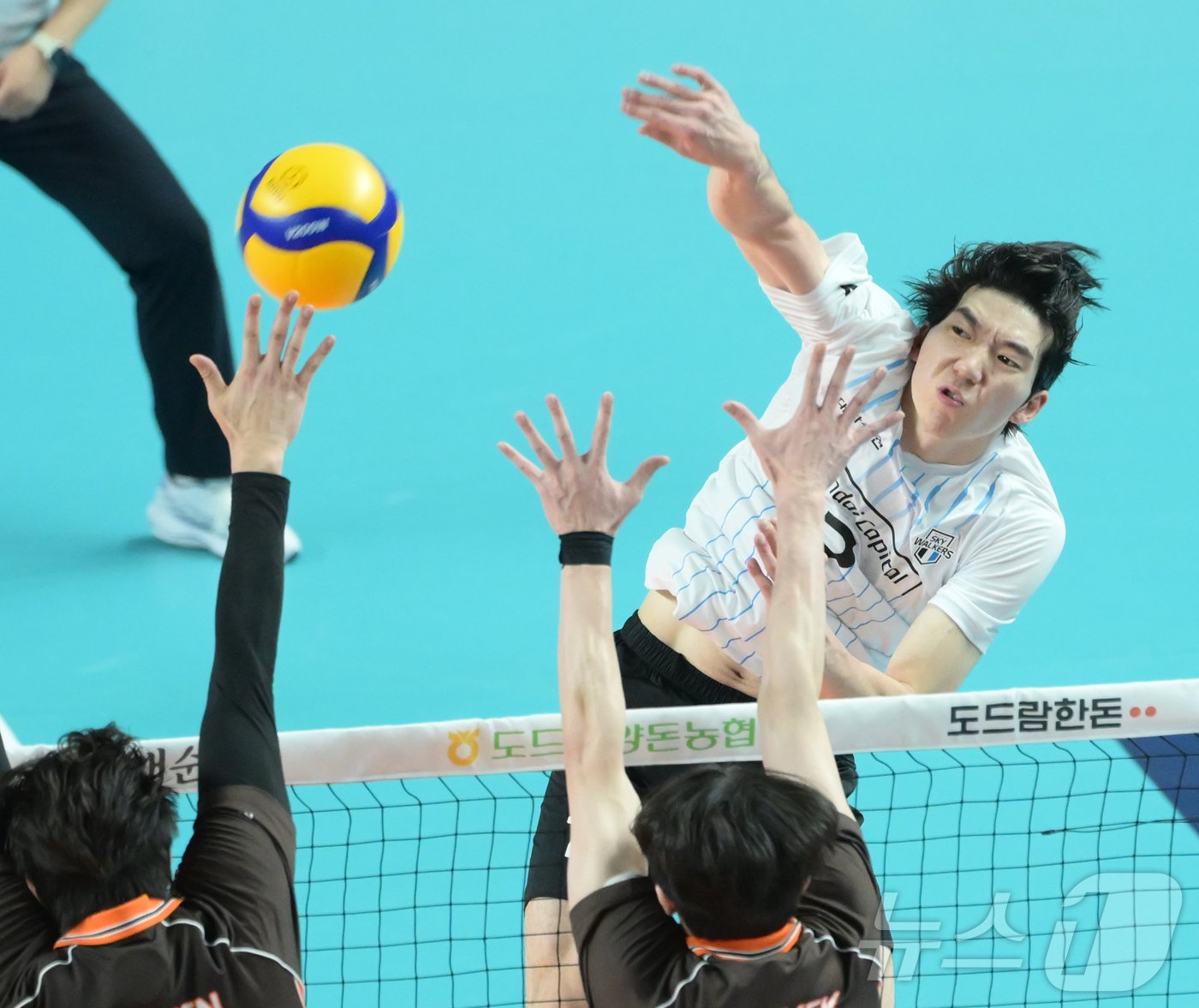 본문 이미지 - 현대캐피탈의 허수봉이 21일 열린 코보컵 조별리그 A조 OK저축은행과의 경기에서 공격을 시도하고 있다. (KOVO 제공)