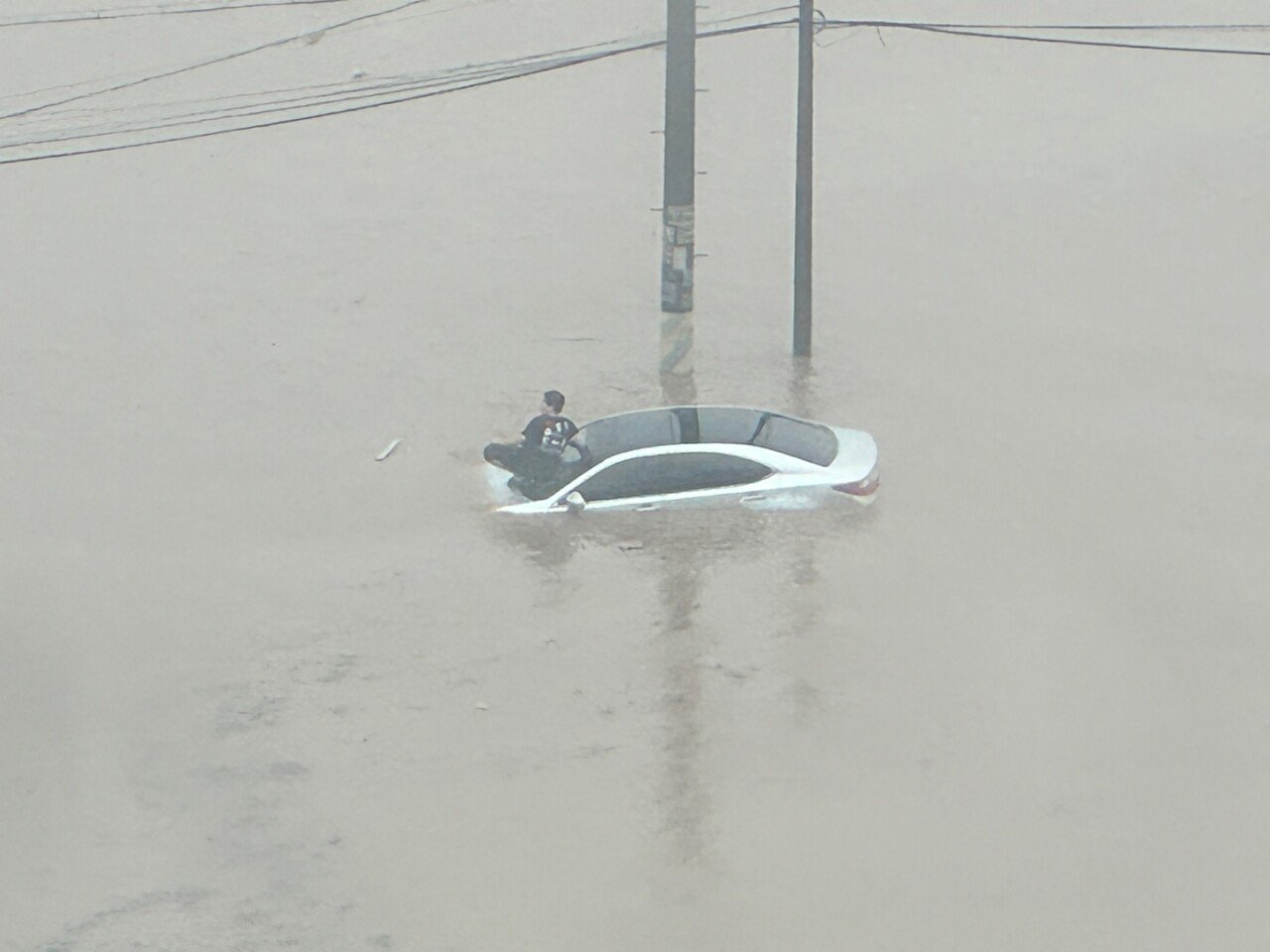 본문 이미지 - (온라인 커뮤니티 갈무리)