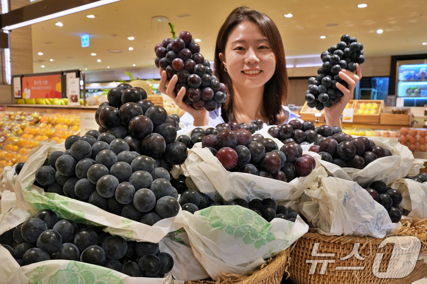 (서울=뉴스1) 박지혜 기자 = 롯데백화점이 10월 6일까지 롯데백화점 수도권 전점(일산/김포 제외)에서 강화도 산지의 흑포도 '흑아롱'과 '충랑'을 판매한다. '흑아롱'은 캠벨 …