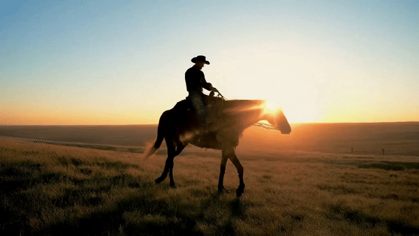 본문 이미지 - 동영상 생성 인공지능 '비오'(VEO)로 만들어진 영상. 입력한 명령어는 '아름다운 석양, 부드러운 빛, 따뜻한 색채를 배경으로 말을 타고 평원을 가로지르는 고독한 카우보이.' (구글 딥마인드 갈무리) 2024.09.22 /뉴스1