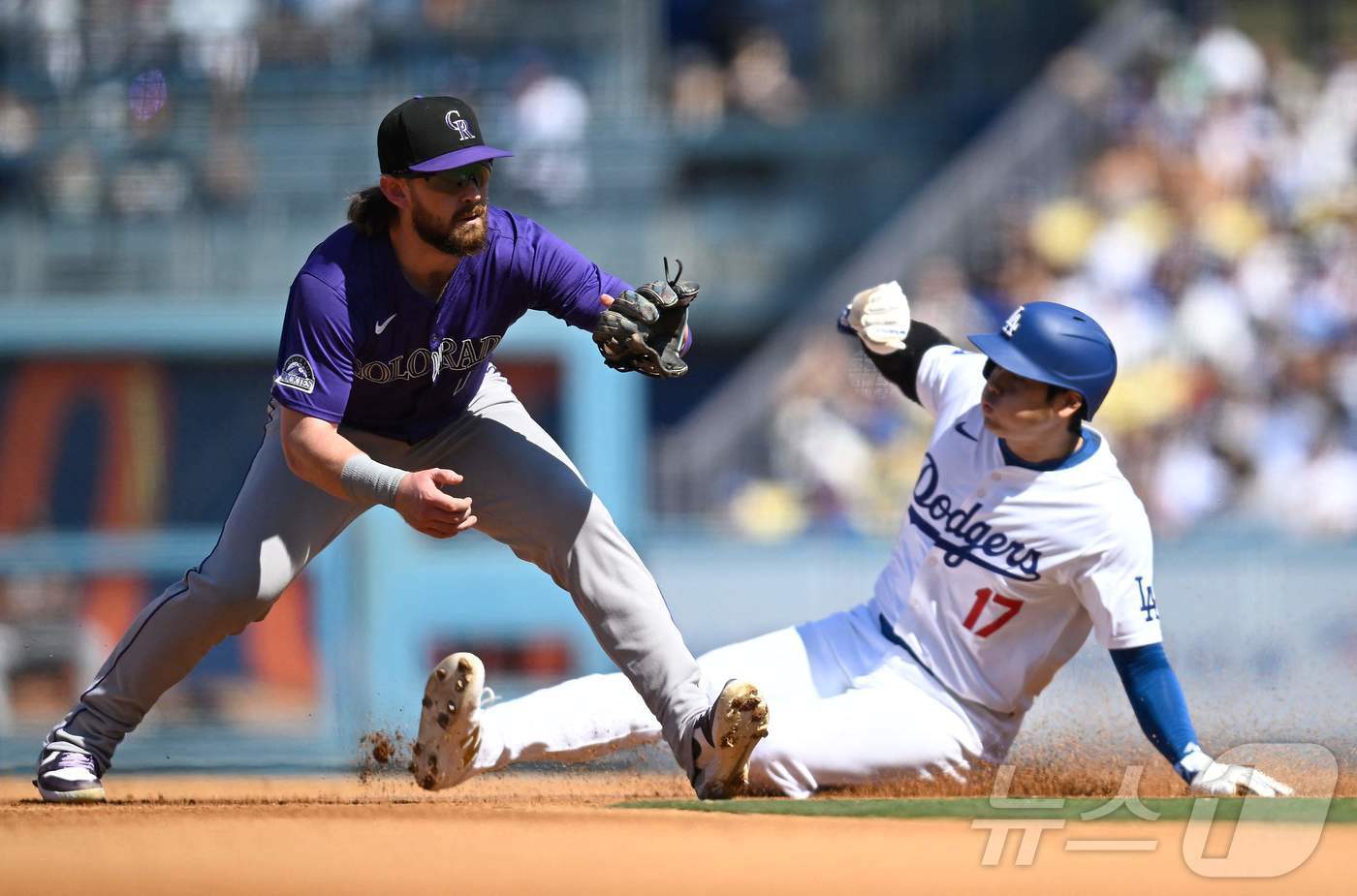 본문 이미지 - 오타니 쇼헤이가 23일(한국시간) 열린 콜로라도 로키스전에서 도루를 성공하고 있다. ⓒ AFP=뉴스1