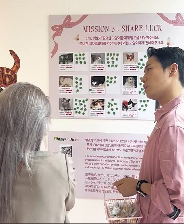 본문 이미지 - 딘토는 오는 30일까지 서울시 성동구 성수동에서 '르 샤 부뜨' 팝업 스토어를 열고, 나비야 사랑해에서 보호 중인 고양이의 입양 캠페인도 진행한다. (나비야사랑해 제공)