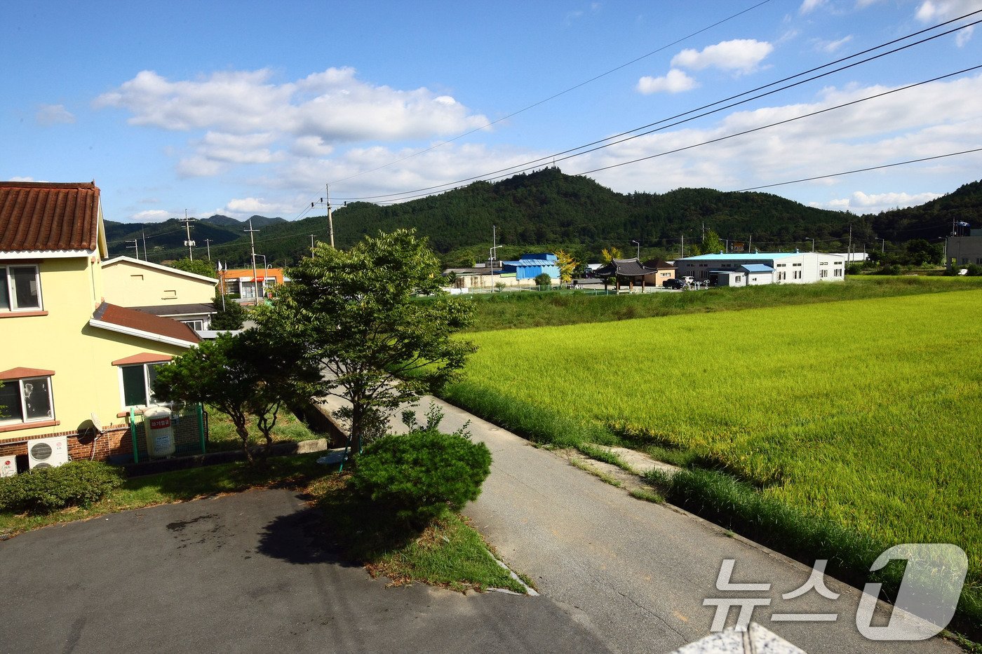 본문 이미지 - 전국에서 가장 인구가 적은 전남 강진군 옴천면의 전경. 2024.9.23/뉴스1 ⓒ News1 박지현 기자