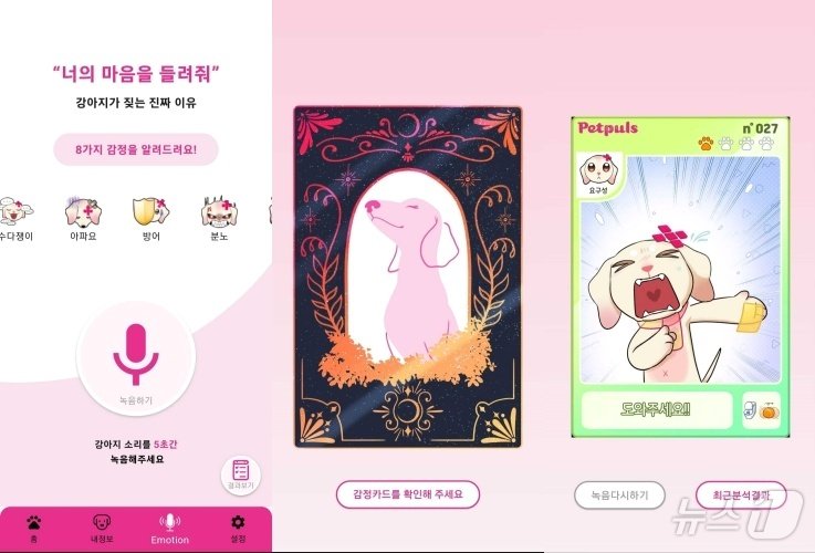 본문 이미지 - 삐뽀 앱 이모션 케어 기능(펫펄스랩 제공) ⓒ 뉴스1