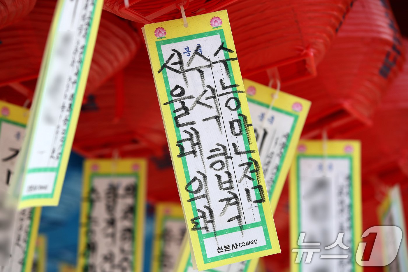 본문 이미지 - 2025학년도 대학수학능력시험 D-50일을 하루 앞둔 24일 경북 경산시 와촌면 팔공산 갓바위 선본사 연등 아래 '수능 만점'과 '의대 합격'을 기원하는 소원지가 붙어 있다. 2024.9.24/뉴스1 ⓒ News1 공정식 기자