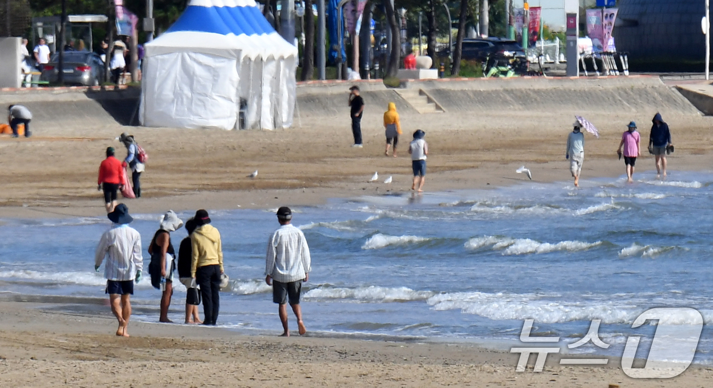 (포항=뉴스1) 최창호 기자 = 25일 경북 포항시 북구 영일대해수욕장 백사장에서 아침 산책 나온 시민들이 맨발로 걸어가고 있다. 2024.9.25/뉴스1