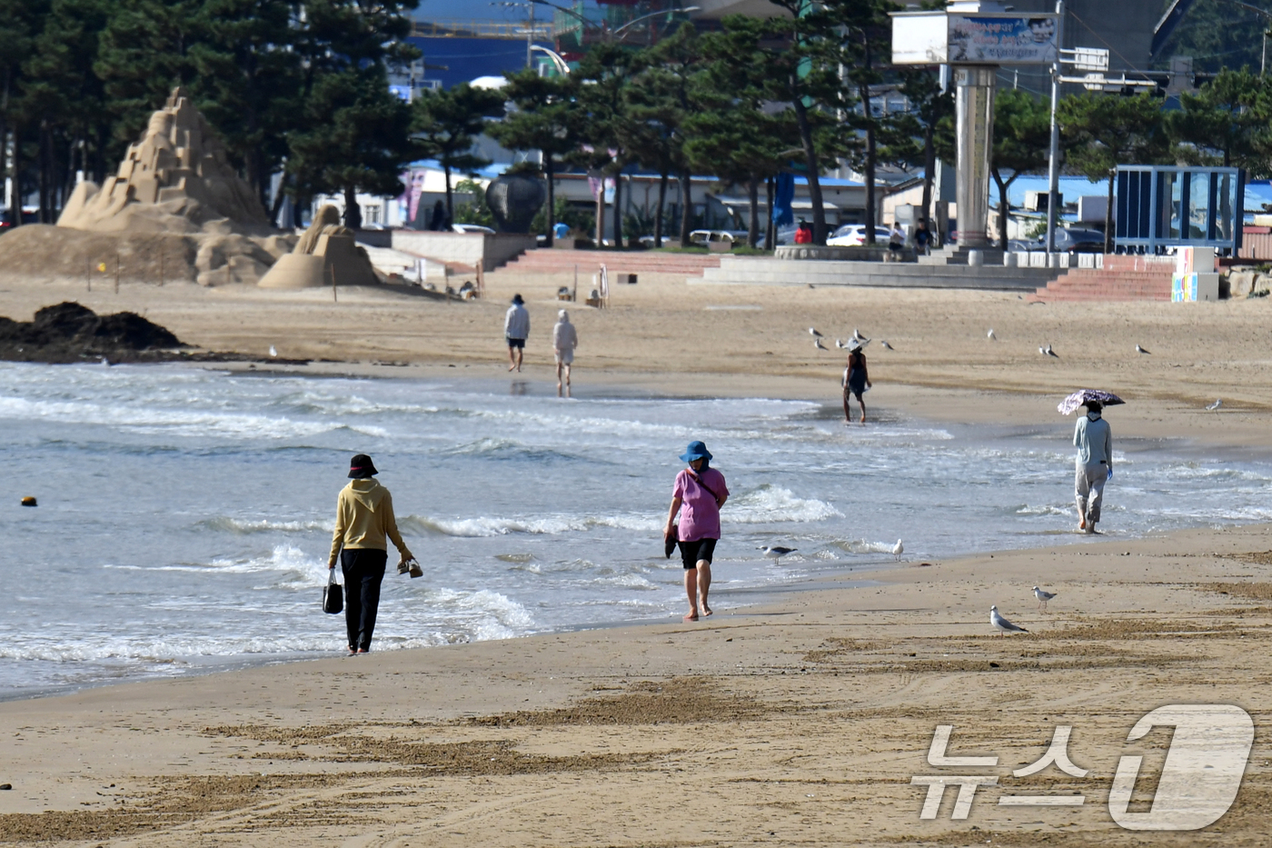 (포항=뉴스1) 최창호 기자 = 25일 경북 포항시 북구 영일대해수욕장 백사장에서 아침 산책 나온 시민들이 맨발로 걸어가고 있다. 2024.9.25/뉴스1